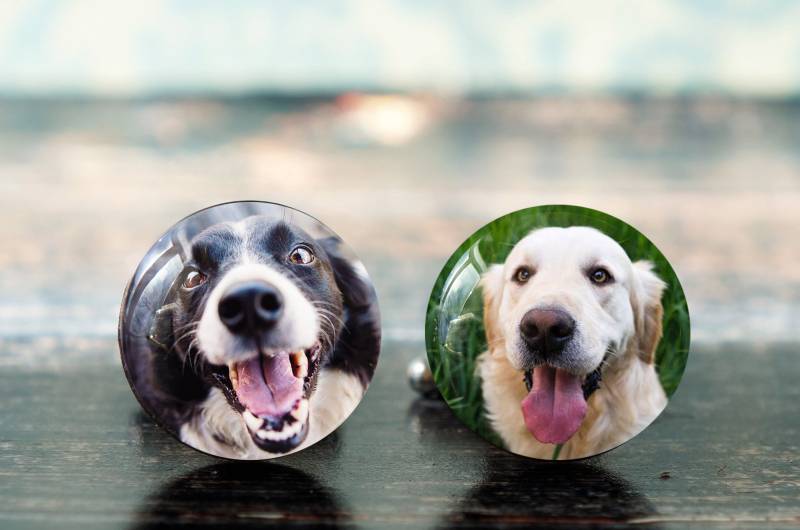 Hunde Manschettenknöpfe , Foto Personalisierte Geschenk Für Hundeliebhaber Personalisierte Eigene von PeaceOfCat