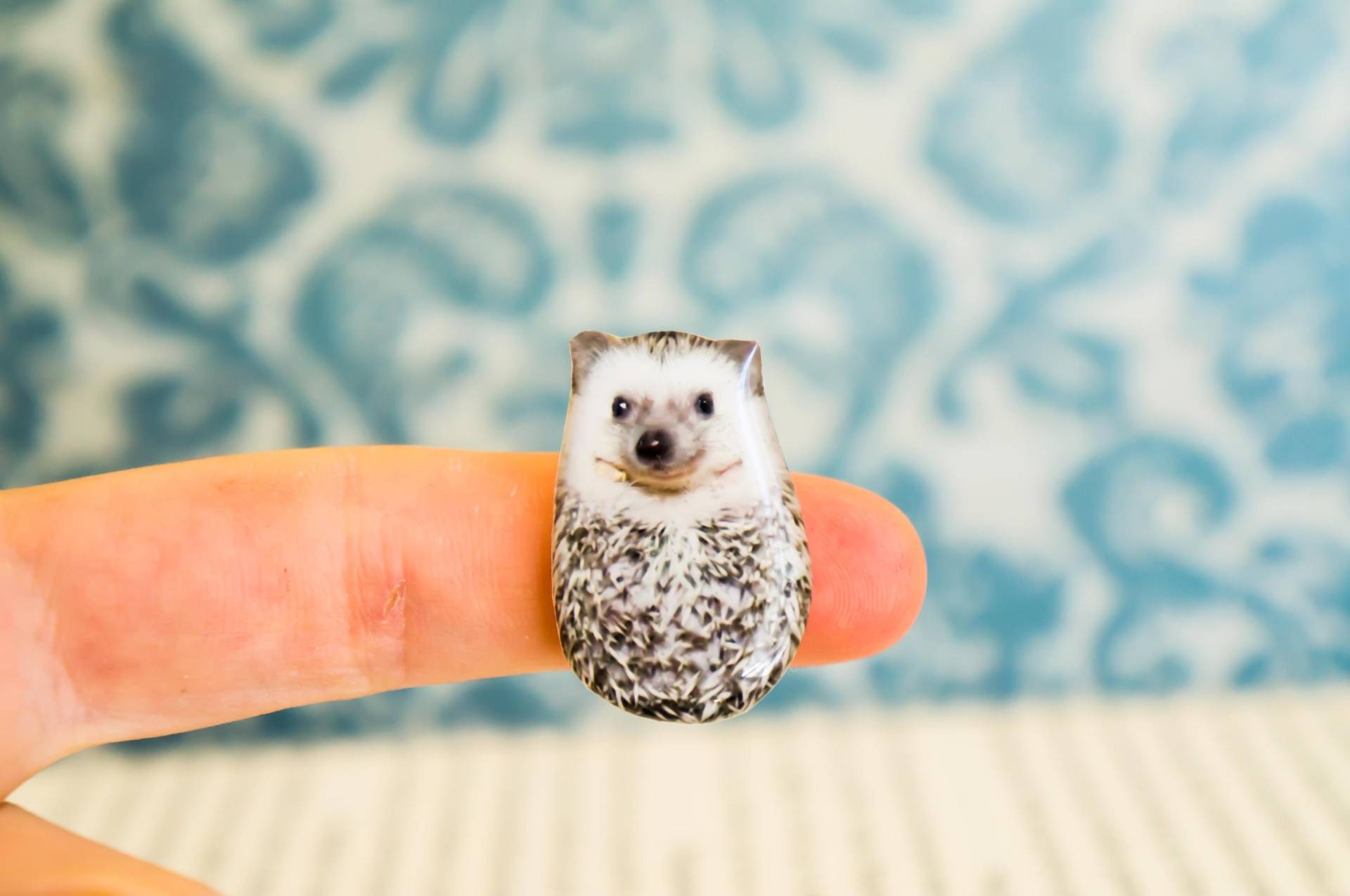 Igel Geschenk, Emaille Pin, Brosche, Schmuck, Tier Pin , Brosche von PeaceOfCat