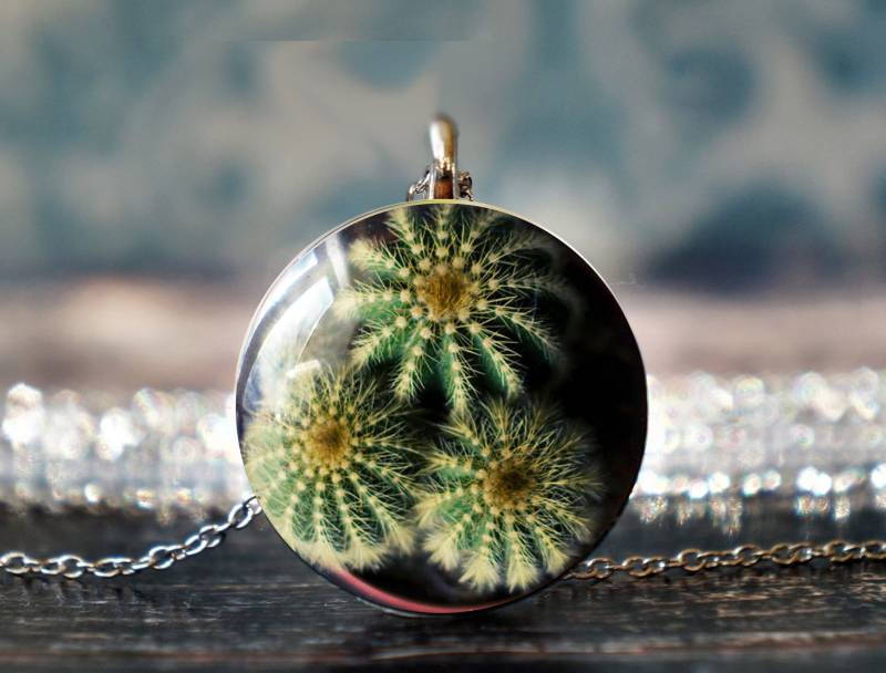 Kaktus Schmuck , Pflanzen Halskette Anhänger Wüste Sukkulenten Kakteen Südwest von PeaceOfCat