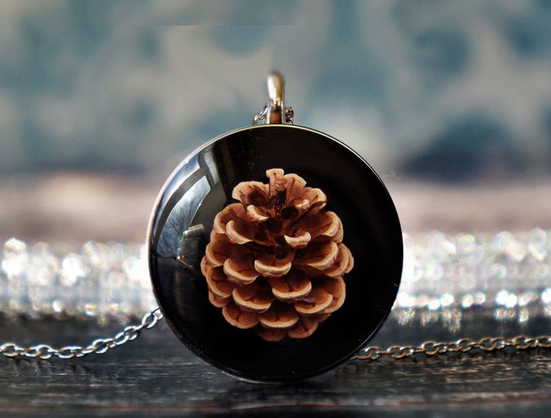 Kiefernzapfen Schmuck, Natur Halskette , Wald Anhänger Schmuck von PeaceOfCat