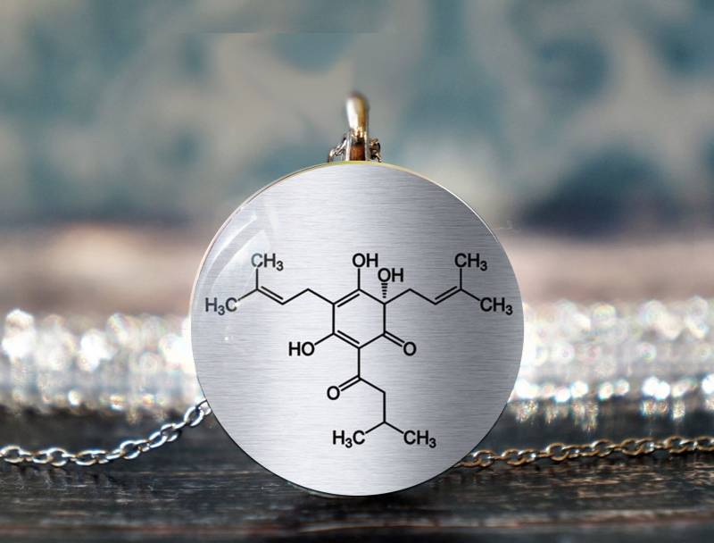 Koffein Molekül , Kaffee Halskette Wissenschaft Schmuck Liebhaber Geschenk von PeaceOfCat