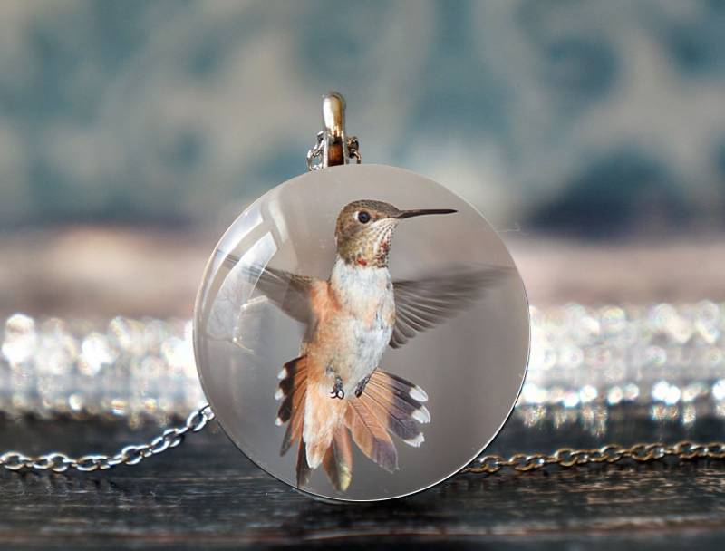 Kolibri Schmuck , Anhänger Vogel Liebhaber Geschenk Natur Edelstahl von PeaceOfCat