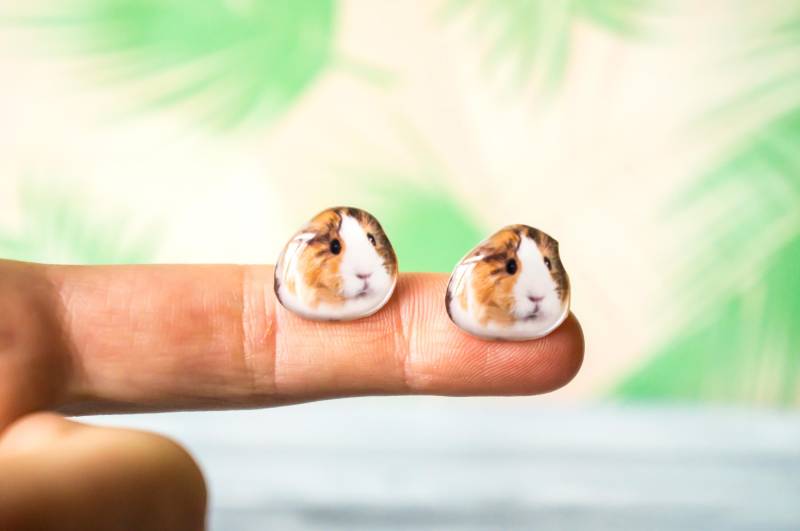 Meerschweinchen Liebhaber, Geschenke, Schmuck, Ohrstecker, Süßes Geschenk von PeaceOfCat