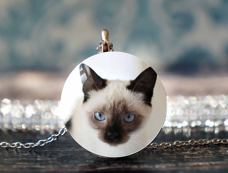 Siam Katze Halskette , Katzen Anhänger Schmuck Geschenk Siamese Lover von PeaceOfCat