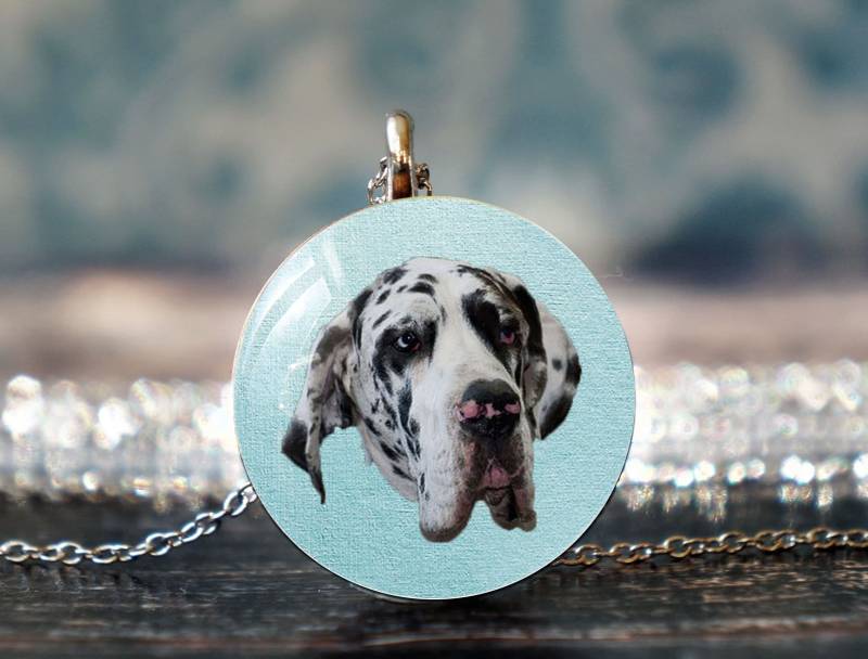Tolle Dane Geschenke, Großer Liebhaber, Tolles Geschenk, Schmuck, Anhänger, Hunde Halskette von PeaceOfCat