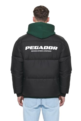 Pegador (DE/NL/SE/PL, Alphanumerisch, L, Regular, Regular von Pegador