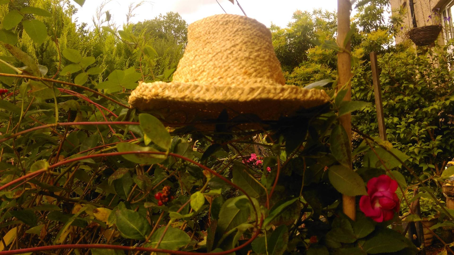 Der Monty Gartenhut Der Monty Gartenhut von PeggySpoons