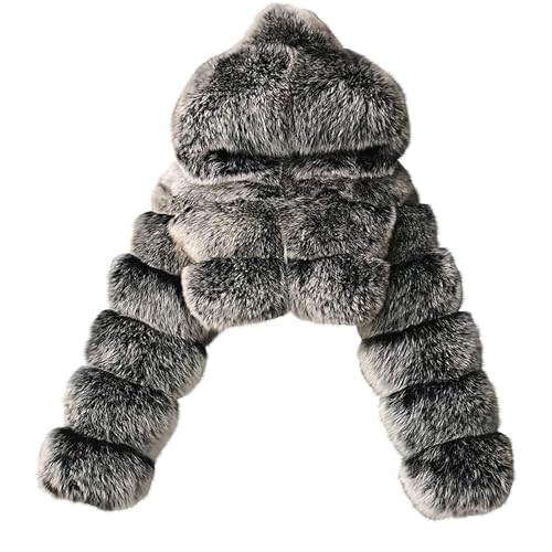 PengGengA Damen Kunstpelz Mantel Winterjacke Kurz Kunstpelz Mäntel Winter Pelzmantel mit Kaputze Rundhals Felljacke Outwear Oberteile Tops - Silber, 4XL von PengGengA