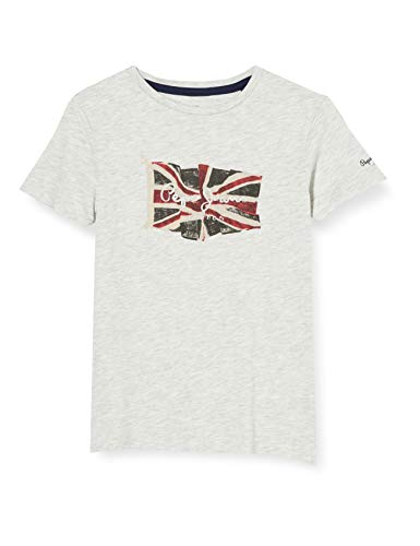 Pepe Jeans Herren Flag Logo S/S T-Shirt, 913light Grey Marl, 14 Jahre von Pepe Jeans