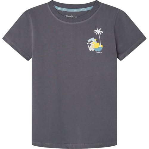 Pepe Jeans Jungen Rence T-Shirt, Grau (Phantom Grey), 12 Jahre von Pepe Jeans