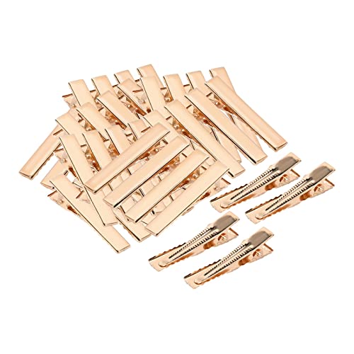 Perfeclan 500 Stück -Haarspangen, Metall-Haarnadeln mit Flacher Oberseite, für Haarstyling, DIY-Accessoires, Salon, Schleifen, Basteln, Frauen, 40MM Perfeclan 500 Stück -Haarspangen, Metall-Haarnadeln mit Flacher Oberseite, für Haarstyling, DIY-Accessoires, Salon, Schleifen, Basteln, Frauen, 40MM von Perfeclan