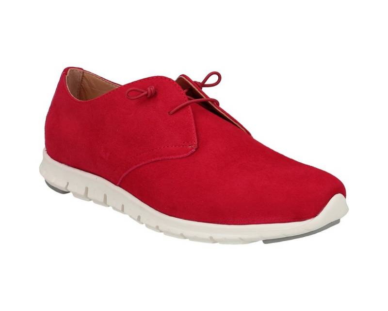 Perlato 11397 Schnürschuh Perlato 11397 Schnürschuh von Perlato