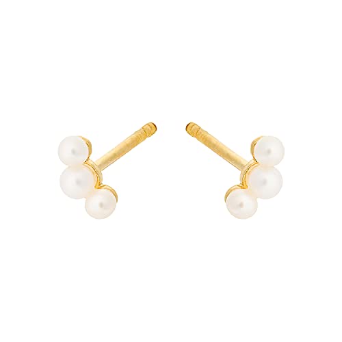 Pernille Corydon Ocean Pearl Earsticks Gold - Ohrstecker Ohrringe Damen mit Süßwasserperlen - Sterling Silber 925 Vergoldet - 6 mm - e-433-gp Pernille Corydon Ocean Pearl Earsticks Gold - Ohrstecker Ohrringe Damen mit Süßwasserperlen - Sterling Silber 925 Vergoldet - 6 mm - e-433-gp von Pernille Corydon