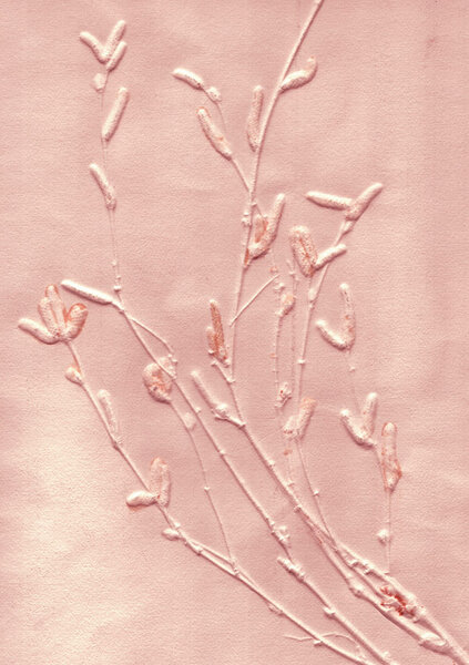 Pernille Folcarelli - limitierte Kunstdrucke - DIN A5 - Abdrücke echter Pflanzen von Pernille Folcarelli