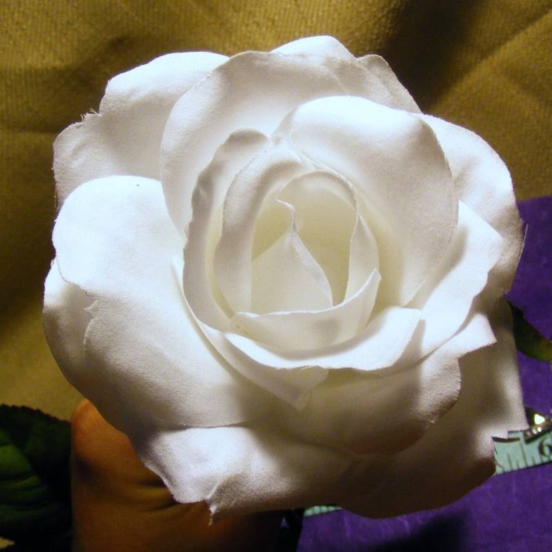 Rose Weiss - Anpassbar Auf Bobby Pin Oder Kamm von PetalProducts