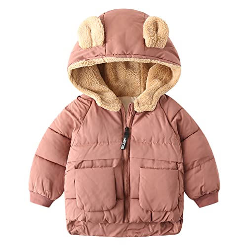 Petalum Baby Daunenjacke Jungen Mädchen Winterjacke Kleinkinder Langarm Steppjacke Reißverschluss Winddichte Jacke mit Fleece Kapuze warm Daunenmantel Outwear mit Taschen von Petalum