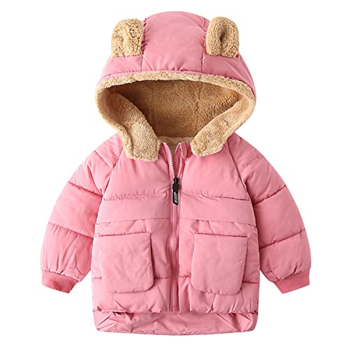 Petalum Baby Daunenjacke Jungen Mädchen Winterjacke Kleinkinder Langarm Steppjacke Reißverschluss Winddichte Jacke mit Fleece Kapuze warm Daunenmantel Outwear mit Taschen von Petalum
