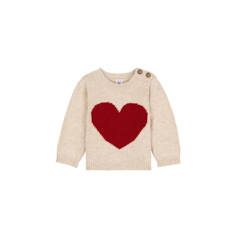 Petit Bateau A0B3K Langarmpullover Baby Jungen Avalanche/Corrida 24 Monate von Petit Bateau