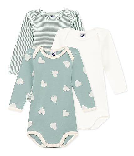 Petit Bateau Baby Jungen Gestreifter Body mit langen Ärmeln, Variante 1, 24 Monate von Petit Bateau