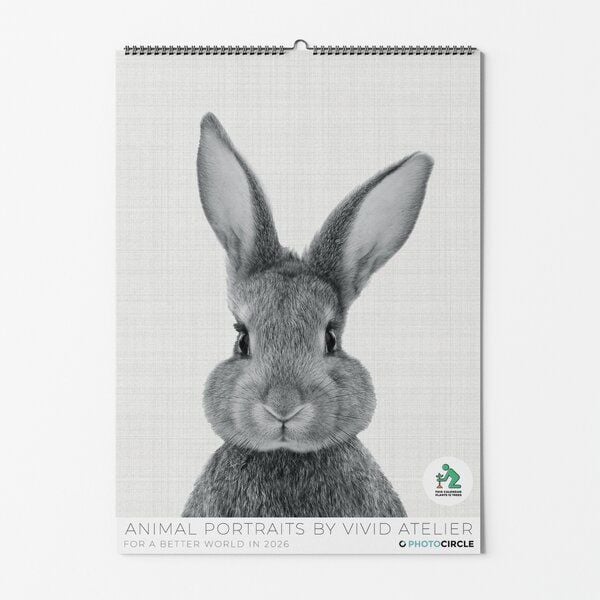 Photocircle Animal Portraits Kalender 2026 / Schwarz-weiß Wandkalender mit süßen Tierpostern von Photocircle