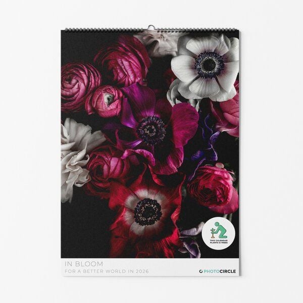 Photocircle Blumen Wandkalender 2026 – In Bloom / Fotokalender 2026 mit Makrofotografien schöner Blüten von Photocircle