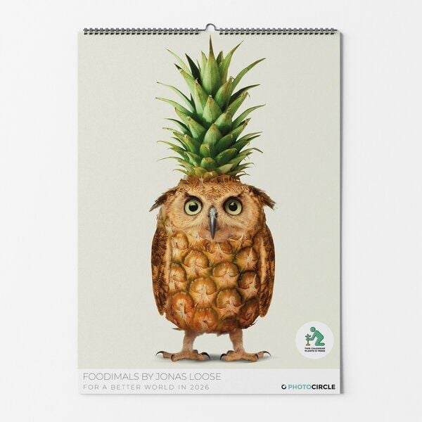 Photocircle Foodimals Kalender für die Küche 2026 / Wandkalender mit lustigen Designkombinationen von Jonas Loose für alle Foodies und Kochfans von Photocircle