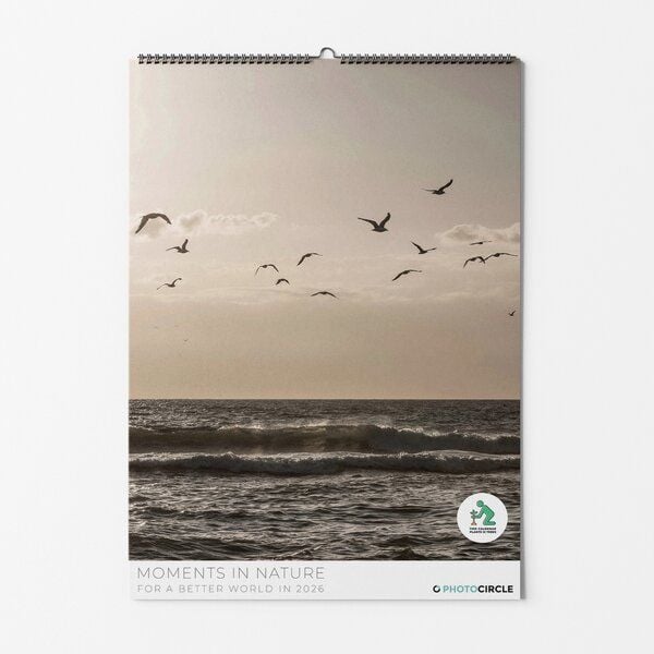Photocircle Moments in Nature Kalender 2026 / Nachhaltiger Naturkalender von Mareike Böhmer von Photocircle
