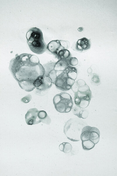 Photocircle Poster / Leinwandbild - Aquarelle Bubbles - Black von Photocircle