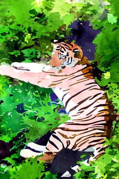 Photocircle Poster / Leinwandbild - Blush Tiger von Photocircle