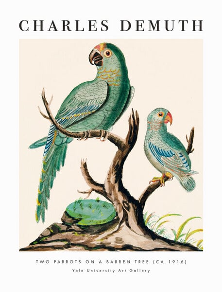 Photocircle Poster / Leinwandbild - Charles Demuth: Two Parrots on a Barren Tree von Photocircle