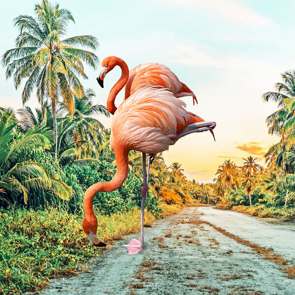 Photocircle Poster / Leinwandbild - Flamingo Vacay von Photocircle