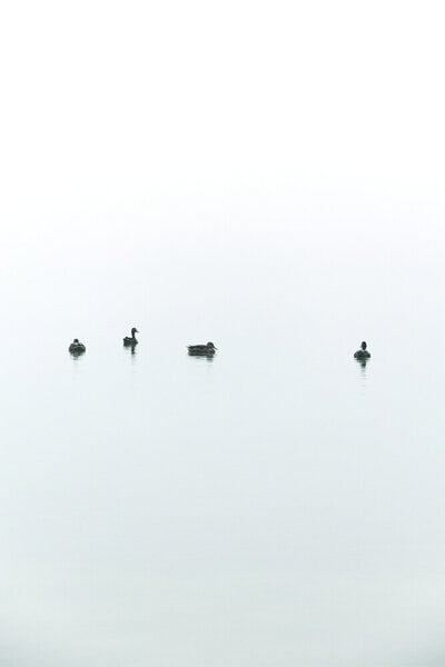 Photocircle Poster / Leinwandbild - Floating Between Fog and Sea von Photocircle