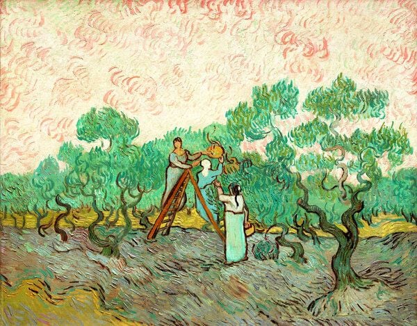 Photocircle Poster / Leinwandbild - Frauen pflücken Oliven von Vincent van Gogh von Photocircle