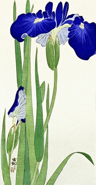 Photocircle Poster / Leinwandbild - Irisblumen von Ohara Koson von Photocircle