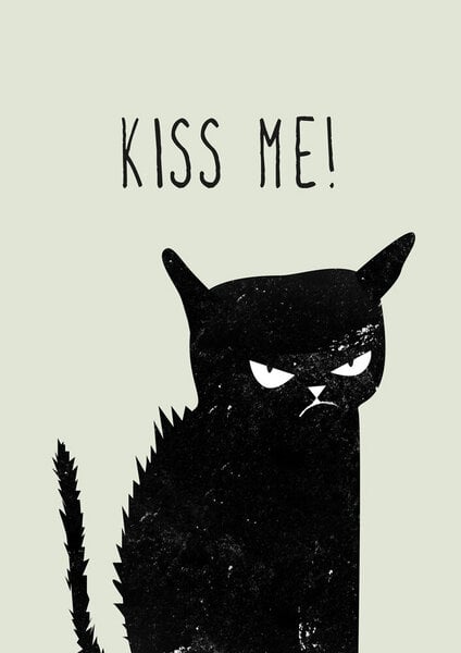 Photocircle Poster / Leinwandbild - Kiss me Cat von Photocircle