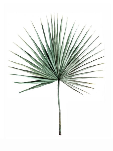 Photocircle Poster / Leinwandbild - Mantika Botanical Palmwedel von Photocircle