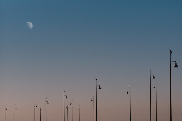 Photocircle Poster / Leinwandbild - Moonlight on the Pier von Photocircle