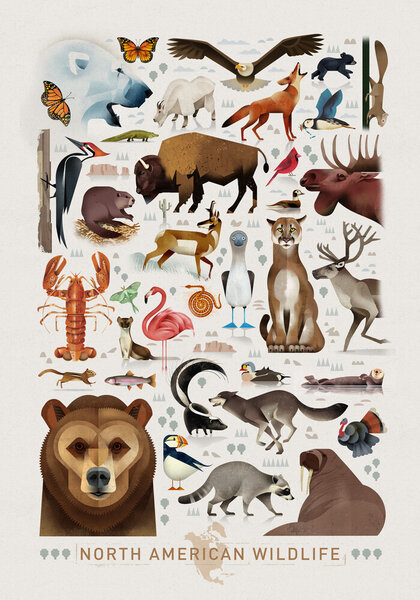 Photocircle Poster / Leinwandbild - Nordamerikanische Tierwelt von Photocircle