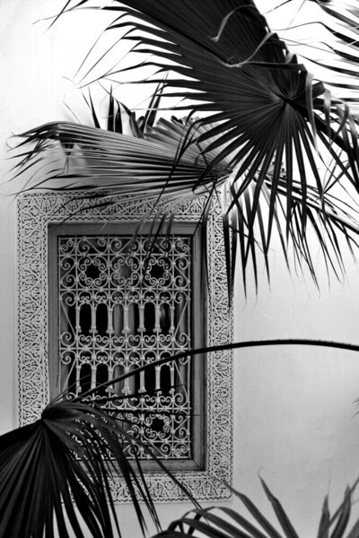 Photocircle Poster / Leinwandbild - ORIENT palms & garden dreams - black & white edition von Photocircle