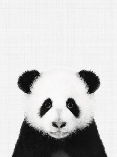 Photocircle Poster / Leinwandbild - Panda (Black and White) von Photocircle