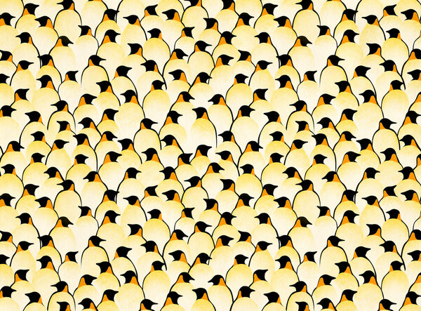 Photocircle Poster / Leinwandbild - Pinguine von Photocircle