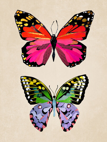 Photocircle Poster / Leinwandbild - Schmetterlinge – Illustration für Kinder von Photocircle