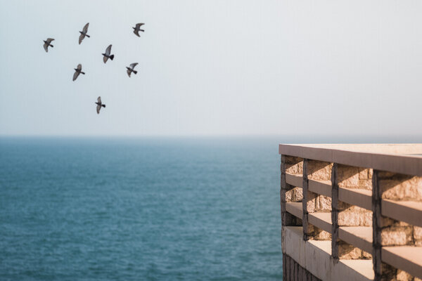 Photocircle Poster / Leinwandbild - Shekou Pier von Photocircle