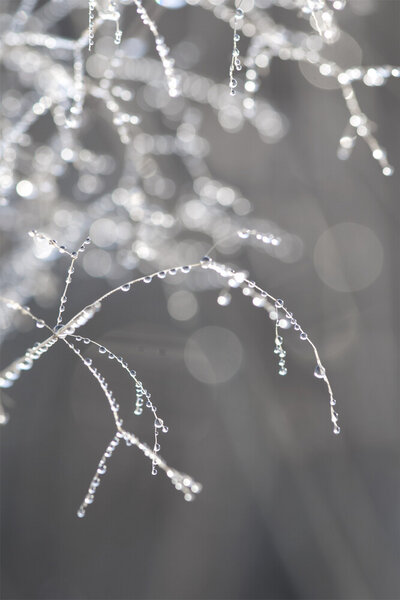 Photocircle Poster / Leinwandbild - That moment von Photocircle