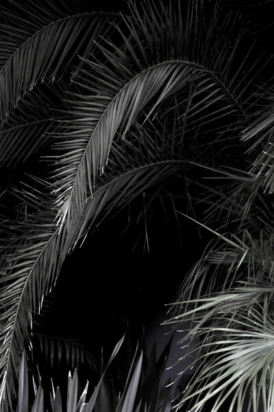 Photocircle Poster / Leinwandbild - Tropical Garden 1/5 von Photocircle