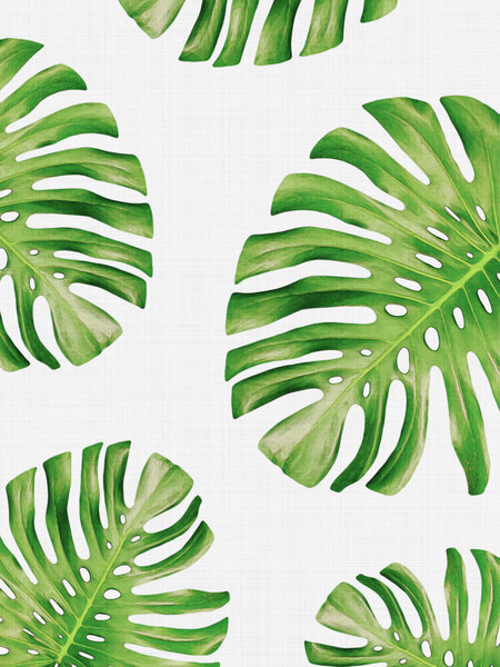 Photocircle Poster / Leinwandbild - Tropical Monstera von Photocircle