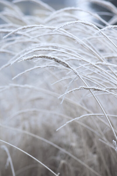 Photocircle Poster / Leinwandbild - White and Calm von Photocircle