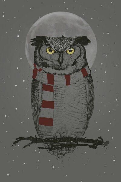 Photocircle Poster / Leinwandbild - Winter owl von Photocircle