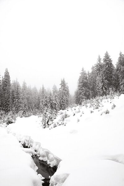 Photocircle Poster / Leinwandbild - black river, white winter FOREST von Photocircle