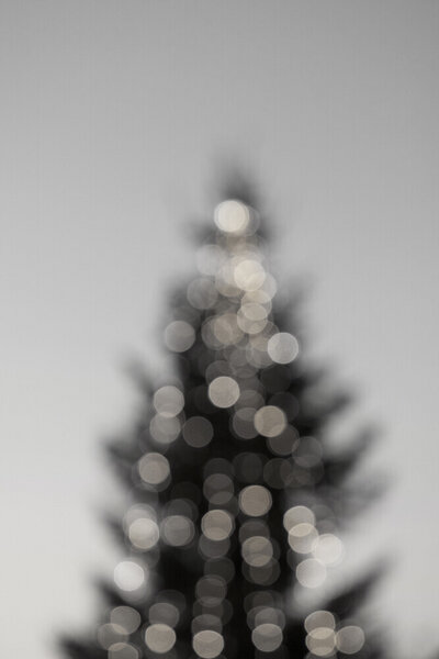 Photocircle Poster / Leinwandbild - merry merry CHRISTMAS - black & white edition von Photocircle